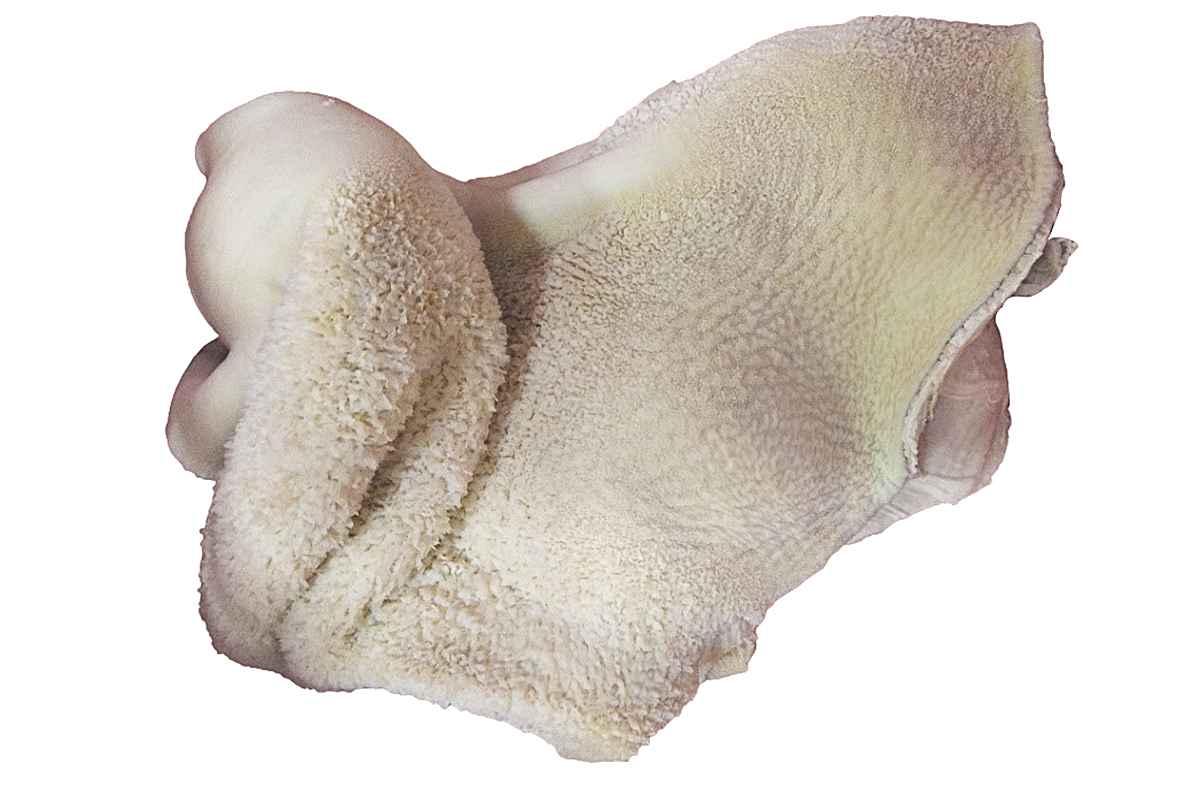 Hovězí dršťky volně ložené chlaz.