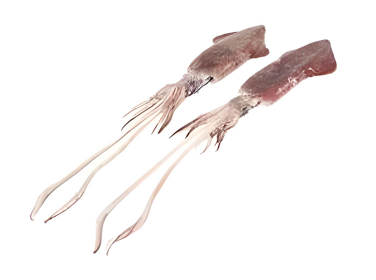 *KALAMÁRY MALÉ 20-40KS/KG