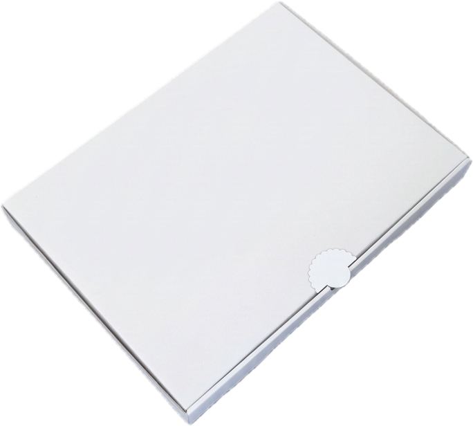 Pinsa Krabice 30 x 40 x 4 cm bílá 1 ks