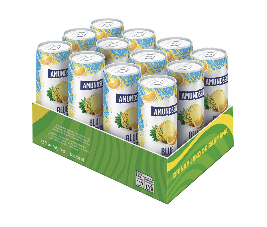 AMUNDSEN Blue Lagoon 4,5 % 12 x 250 ml