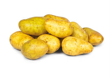 Brambory žluté prané Rashel 40+ SK čerstvé 10 kg