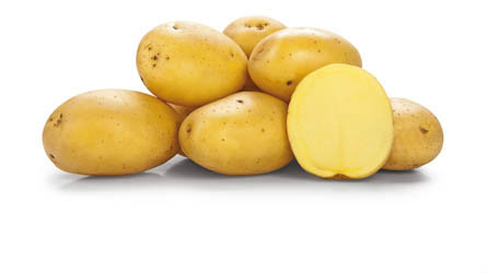 Brambory žluté prané rané 40/60 typ A/B SK čerstvé 2,5 kg