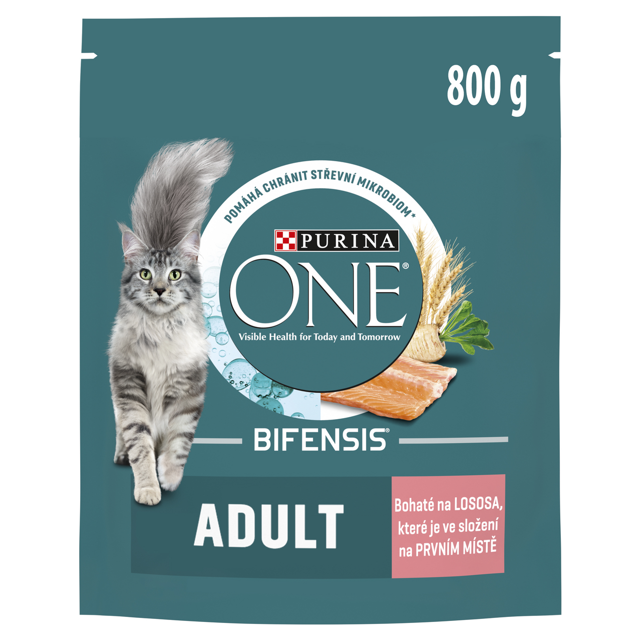 Purina ONE Bifensis Adult granule pro kočky losos 800 g