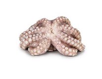 Chobotnice chlaz. váž. cca 250-450g