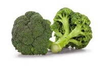 Brokolice Itálie čerstvá 10x500g fólie