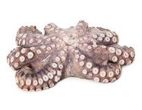 Chobotnice chlaz. váž. 1x cca 0,9-1,8kg