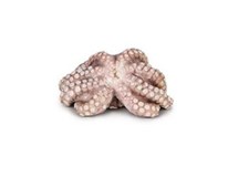 Chobotnice obecná chapadla vařená chlaz. váž. 1x cca 80-150g