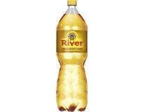 River Ginger Ale tonik 6x2L