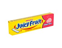 Juicy Fruit Bubble Žvýkačka plátky 20x13g