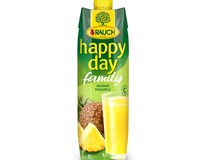 Happy Day Family Ananas džus 12x1 l