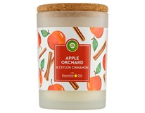 Airwick Essential Oils Svíčka jablečný sad&cejlonská skořice 1x185g