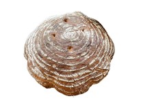 Chléb Krusta kváskový nebalený 1x680g