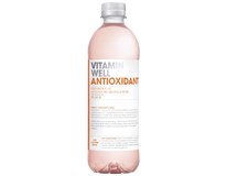 Well Vitamin Antioxidant 1x500ml
