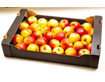 Jablka Šampion 75+ čerstvé 1x6kg karton