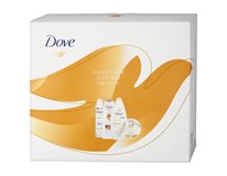 Dove Nourishing Silk dárková sada (sprch. gel 250ml+antip. sprej Inv. Dry 150ml+šampon Anti Frizz 250ml+těl. krém Silky 300ml) kazeta