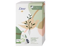 Dove Refreshing dárková sada (sprch. gel 250 ml+tableta na mytí 90g+sprch. houba) kazeta