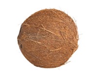 Kokosový ořech mladý B 900 g čerstvý 1 ks