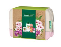 Palmolive Naturals Almond dárková sada (šampon 2v1 350ml+sprch. gel 500ml+tek. mýdlo 300ml+Roll-On Orchid 50ml)