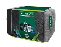 Palmolive MEN dárková sada (sprch. gel Refr. 250ml+sprch. gel Sens. 250ml+Stick Avalanche 60g+šampon Invig. 350ml) bag