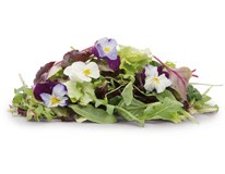 Fino Salát Mesclun květy neprané 125 g