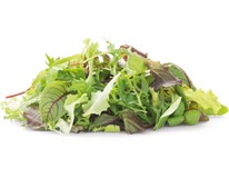 Fino Salát Mesclun nepraný 125 g