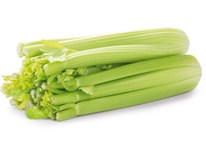 Celer řapíkatý 400g+ čerstvý 1x1ks