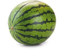 Meloun vodní semenný čerstvý váž. 3 - 5 kg