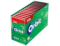 Orbit Spearmint žvýkačky 15x 58 g sáček