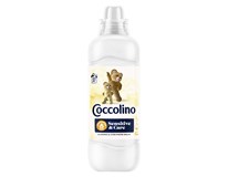 Coccolino Pure Cashal aviváž 925 ml