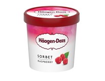 Häagen-Dazs Mini Raspberry Sorbet mraž. 24x 95 ml