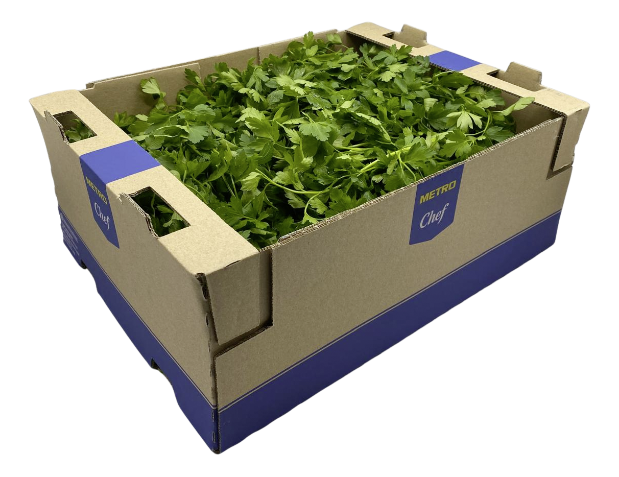 Petersilie glatt 1kg