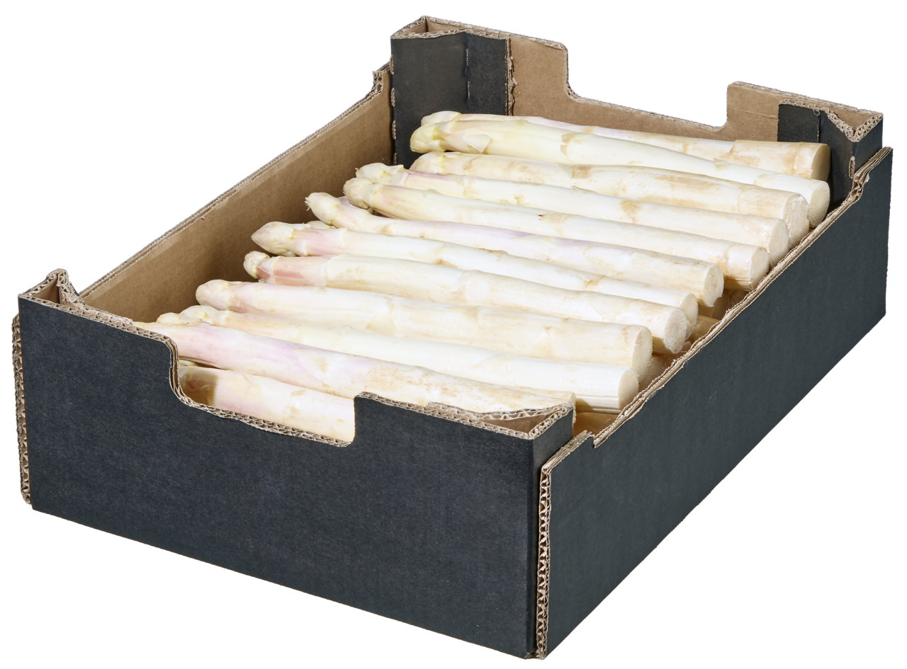 Spargel Weiß/Violett 22mm+ Kl. 2 Deutschland - 5 kg Karton