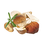 Golden Mushroom Steinpilze tiefgefroren, geschnitten - 1 kg Beutel