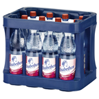 Elisabethen Natürliches Mineralwasser Pur ohne Kohlensäure 12 x 1 l Flaschen