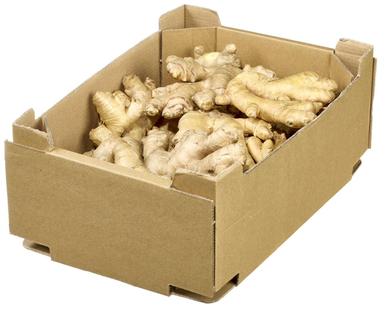 Bio Ingwer 1,5 kg