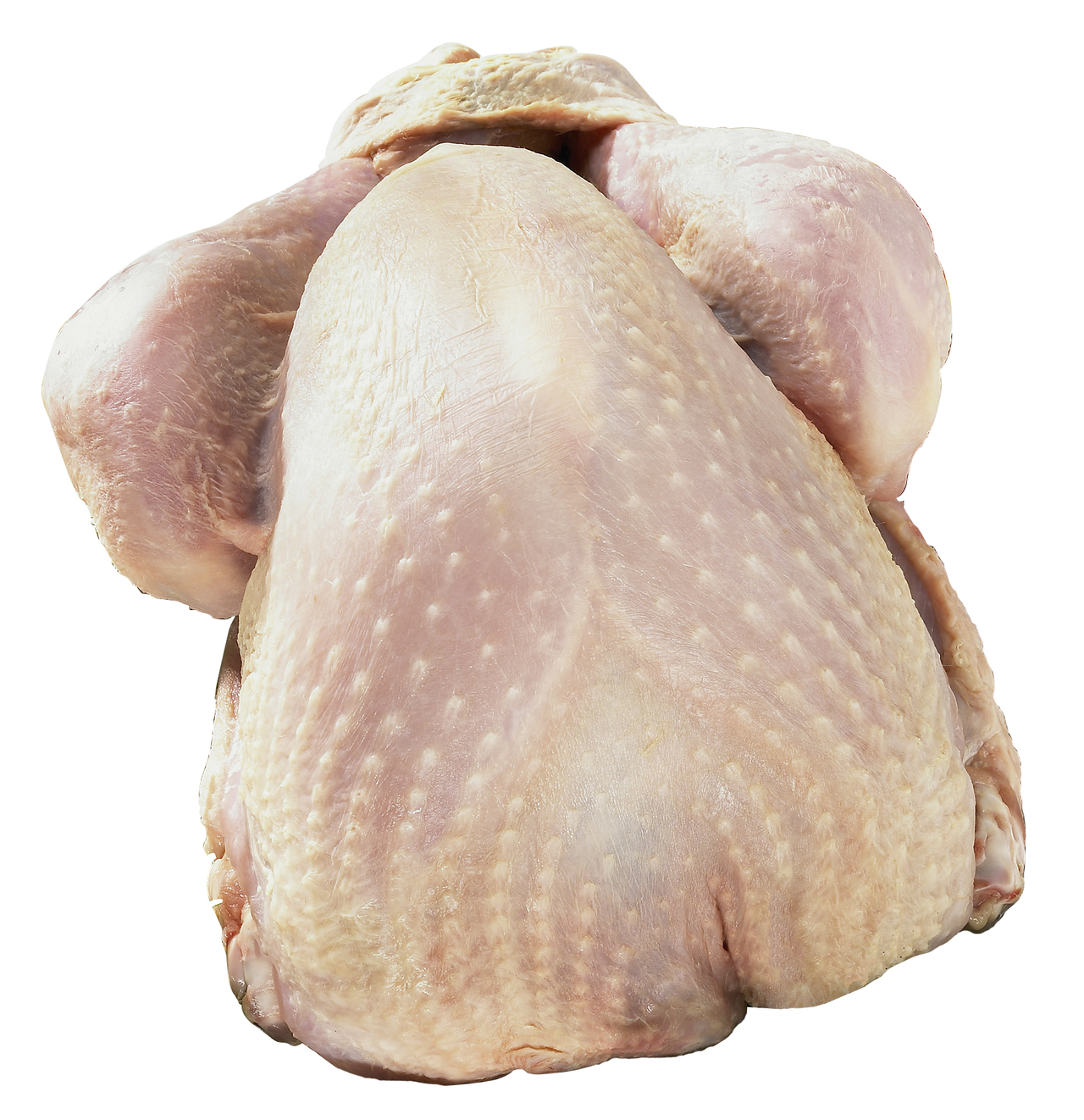 Puten tiefgefroren, mit Innereien, französische Herkunft, vak.-verpackt 3,2 - 4 kg