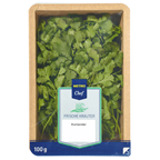 Koriander grün 100g