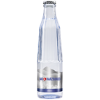 Bad Harzburger Exclusive Classic 20 x 0,25 l Flaschen