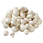 Champignon weiss 4kg