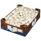 Champignon weiss fein 4kg