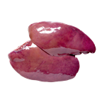 Schweineleber frisch