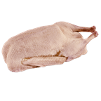 Deutsche Frischgänse - je kg