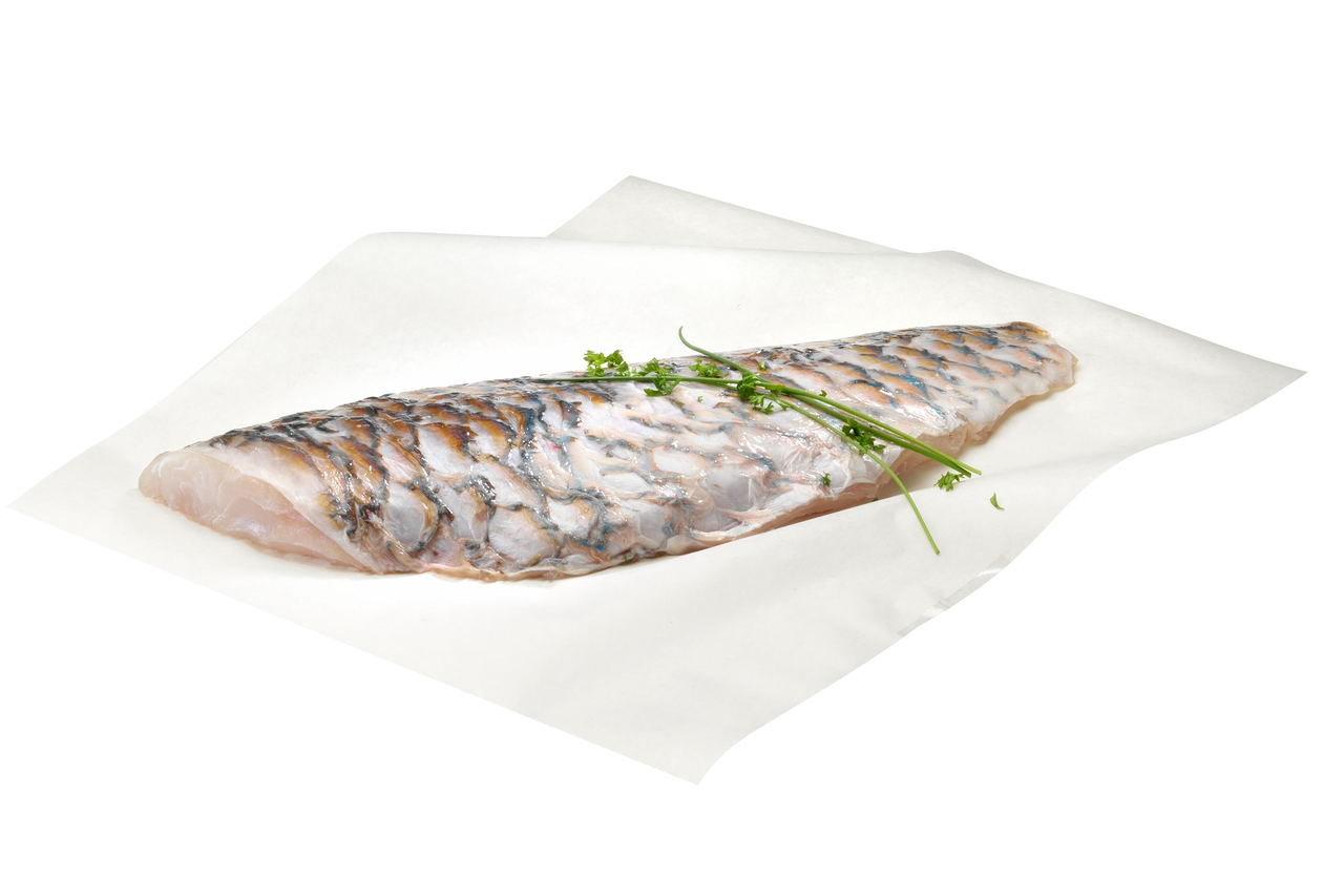 Papageifischfilet mit Haut ca. 100 - 300 g - je kg