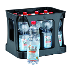 Extaler Mineralwasser Medium 12 x 1 l Flaschen
