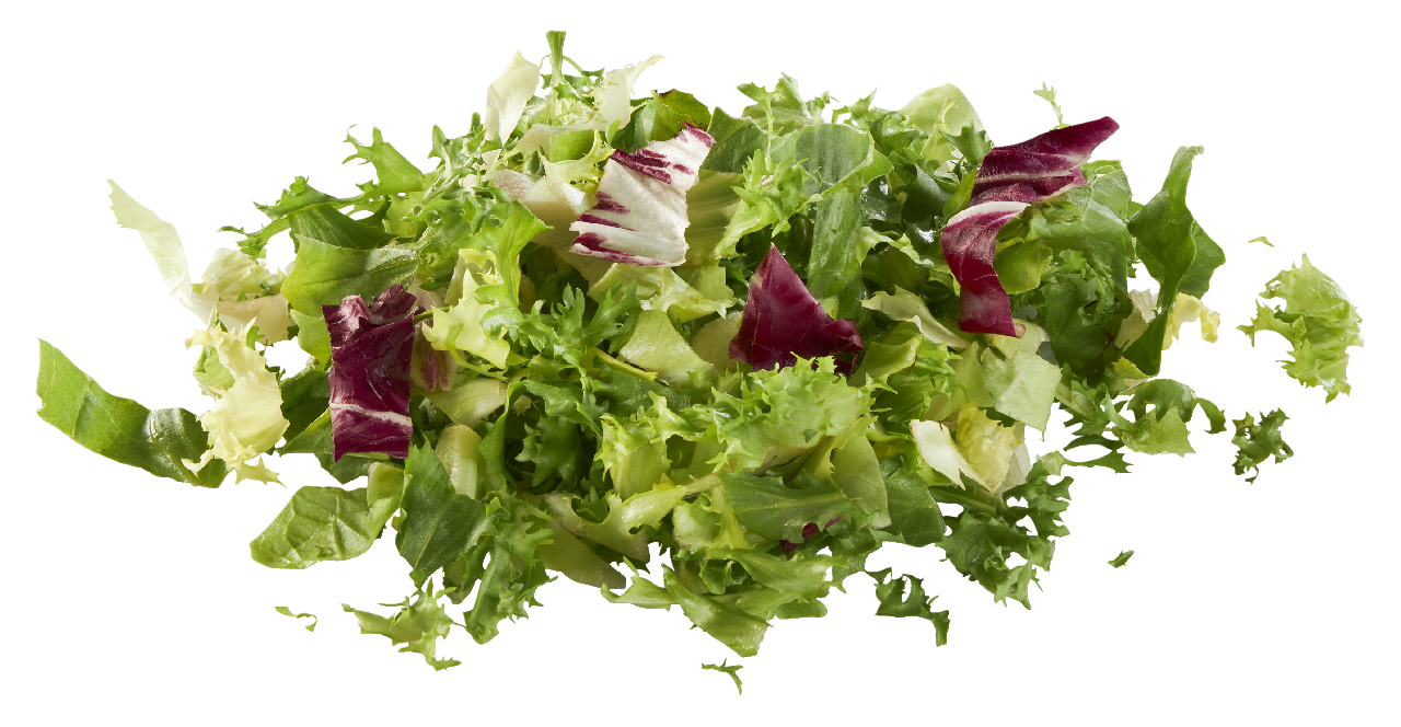 METRO Chef Salatmischung Paris - 1,5 kg Beutel