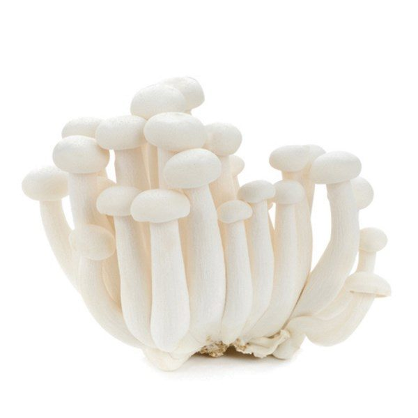 Shimeji Buchenpilz China Weiß - 150 g Schale