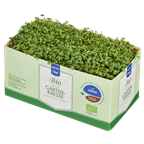 METRO Chef Bio Kresse Deutschland - 40 g Schachtel