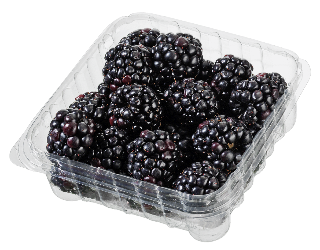 Brombeeren 125g