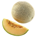 Melonen Cantaloupe Stück