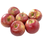 Äpfel Elstar 10kg